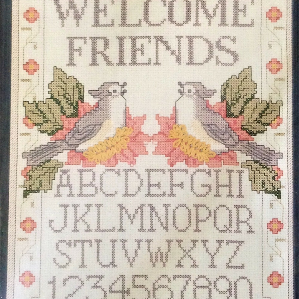 Welcome Friends Counted Cross Stitch Kit 8x10 Bird